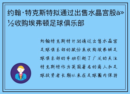 约翰·特克斯特拟通过出售水晶宫股份收购埃弗顿足球俱乐部